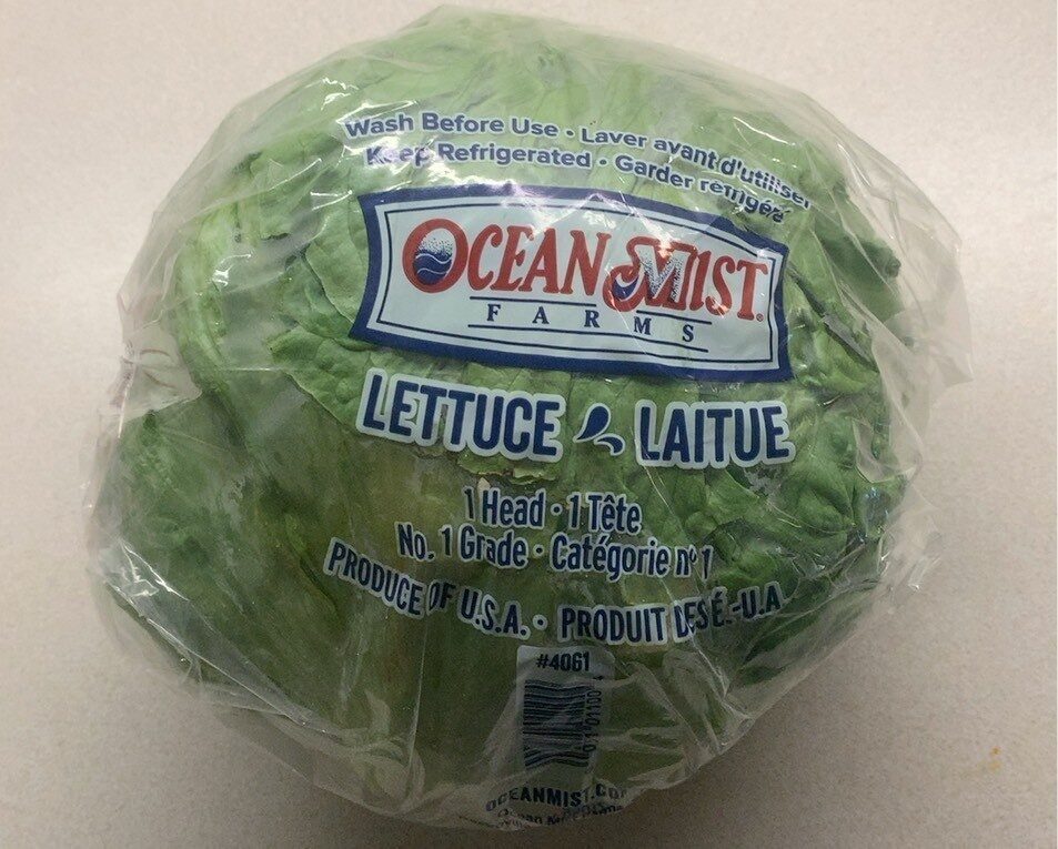 Iceberg lettuce - Product