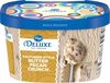 Deluxe southern crunch butter pecan ice cream - Produit