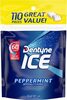 Ice peppermint gum - Product