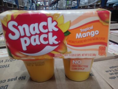 Tropical mango pudding - Product