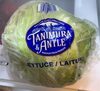 Lettuce - Produkt