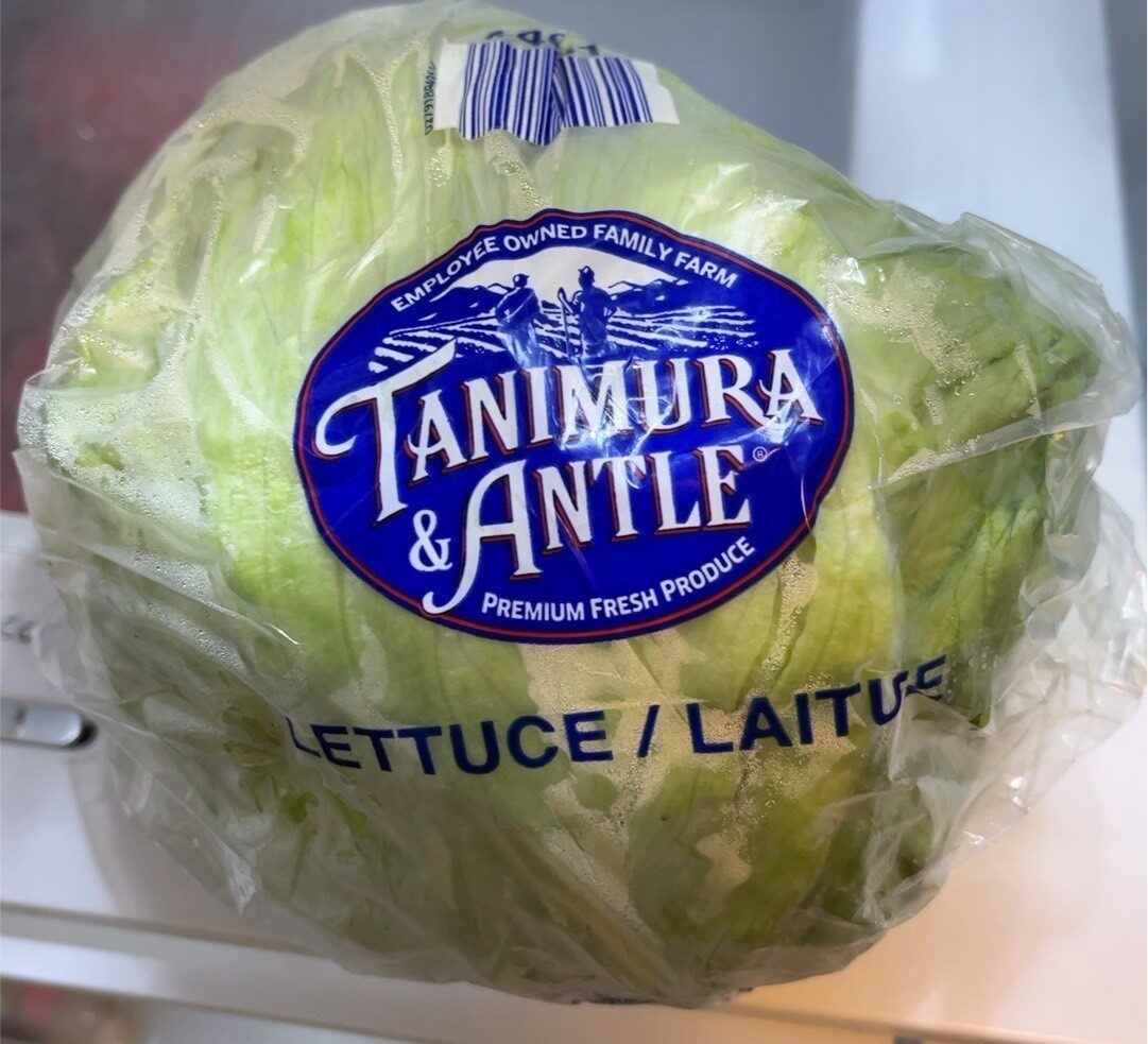 Lettuce - Product
