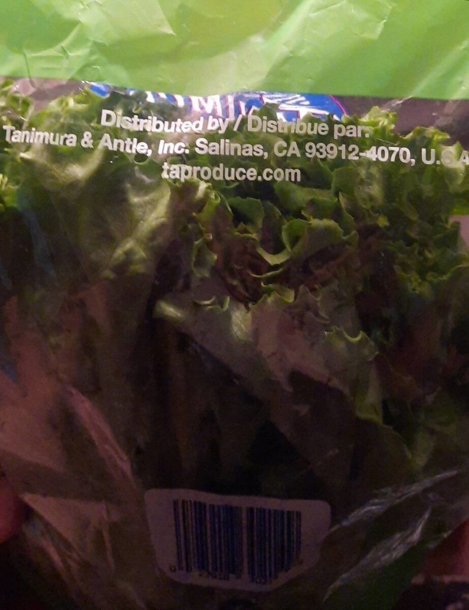 Lettuce - Nutrition facts