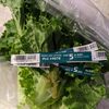 Green Leaf Lettuce - Product