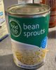 Bean sprouts - Producto