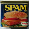 Spam Classic 340G - Product