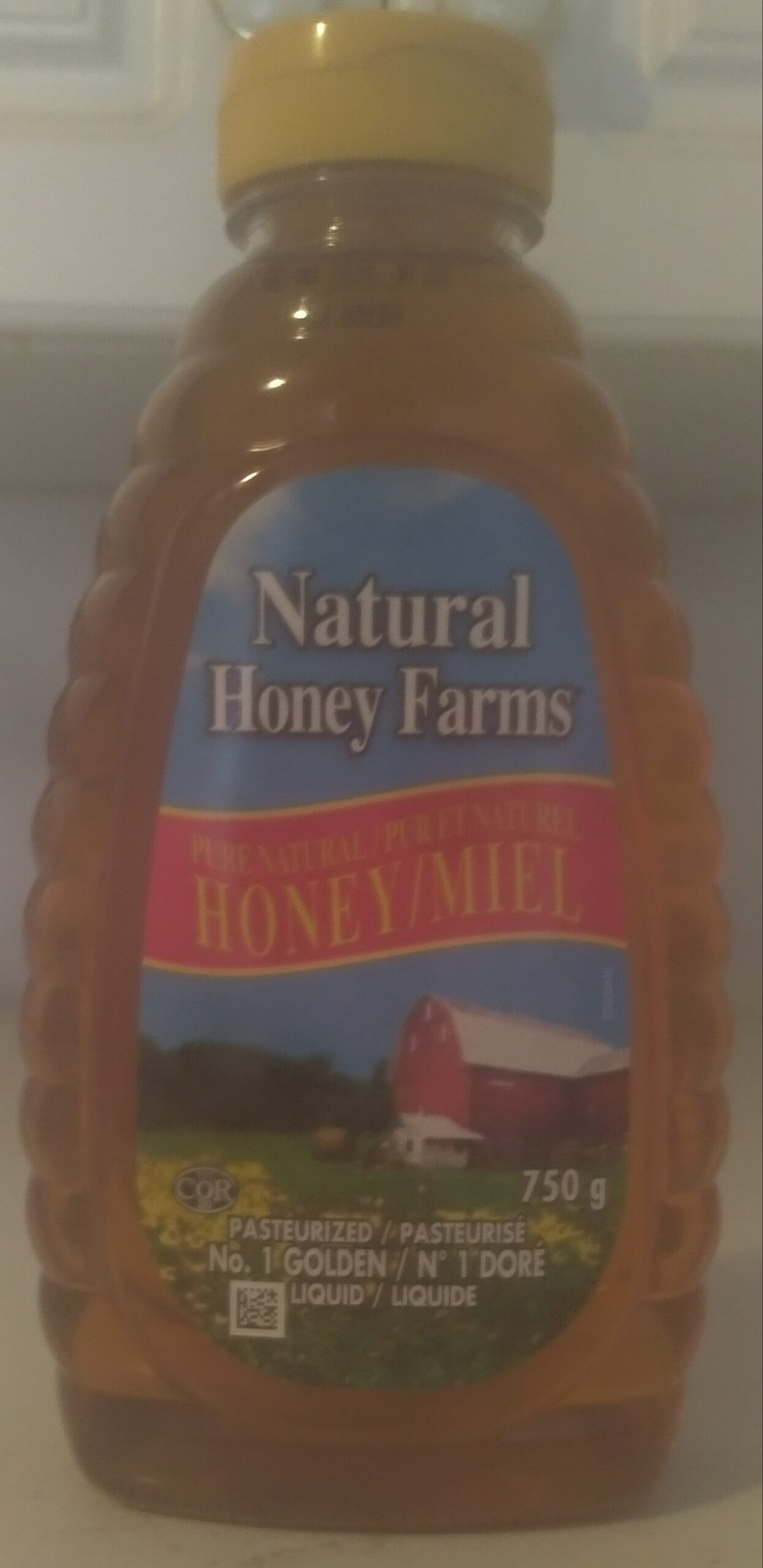 Pasteurized Pure Natural Honey - Product