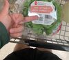 Lettuce - Producto