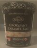 Salty Caramel Crunch Super Premium Plus Ice Cream - Produit