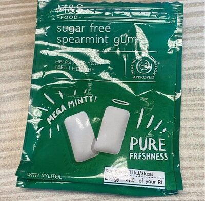 Sugar free spearmint gum - نتاج - fr