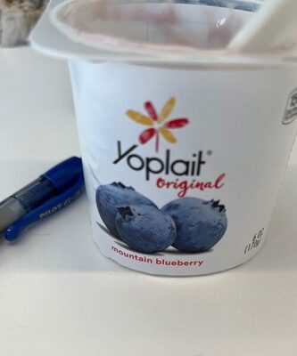 Blueberry yogurt - Product