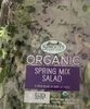 Organic Spring Mix - Product