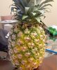 Pineapple - نتاج
