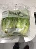 Little Gem Lettuce - Product