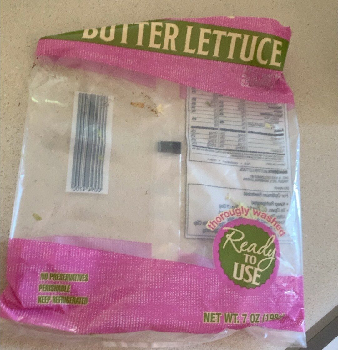Butter lettuce - Product