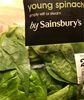 Young Spinach - Product