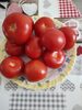 Tomates ronde - Product