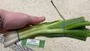 Spring onions - Product