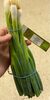 Organic Spring Onions - Product