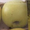 Golden delicious apples - Product