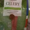 Celery - Producto
