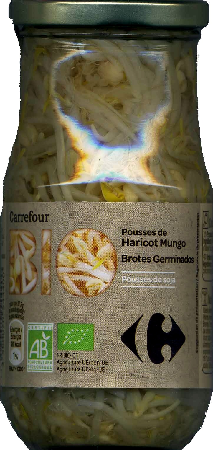 Brotes de judía mungo en conserva ecológicas "Carrefour Bio" - Product - es