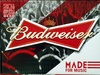 20 bottles Budweiser - Product