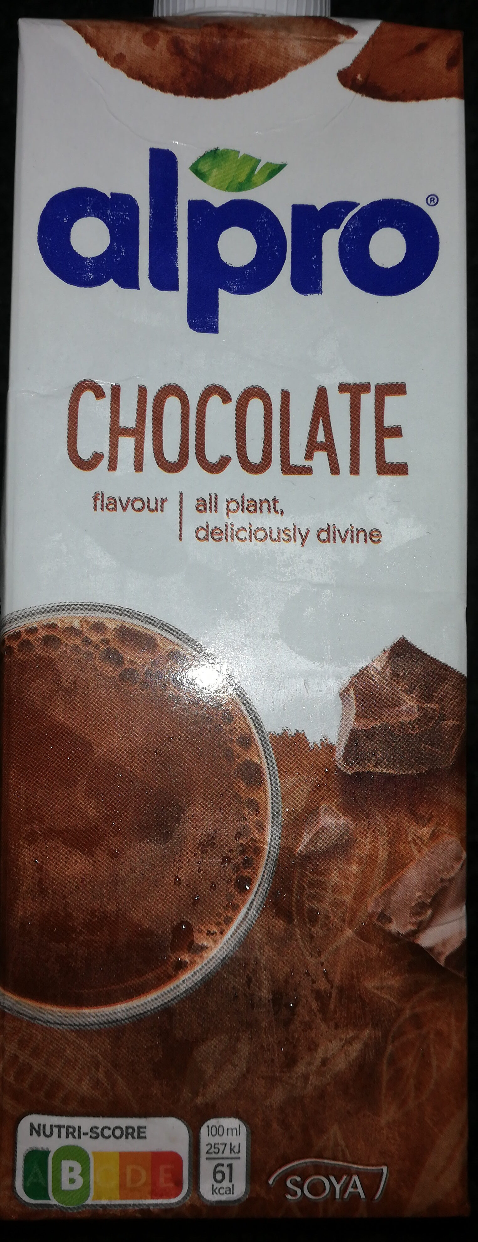 Chocolate flavour - Product - en