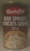 Bean Sprouts - Product