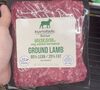 lamb - Product