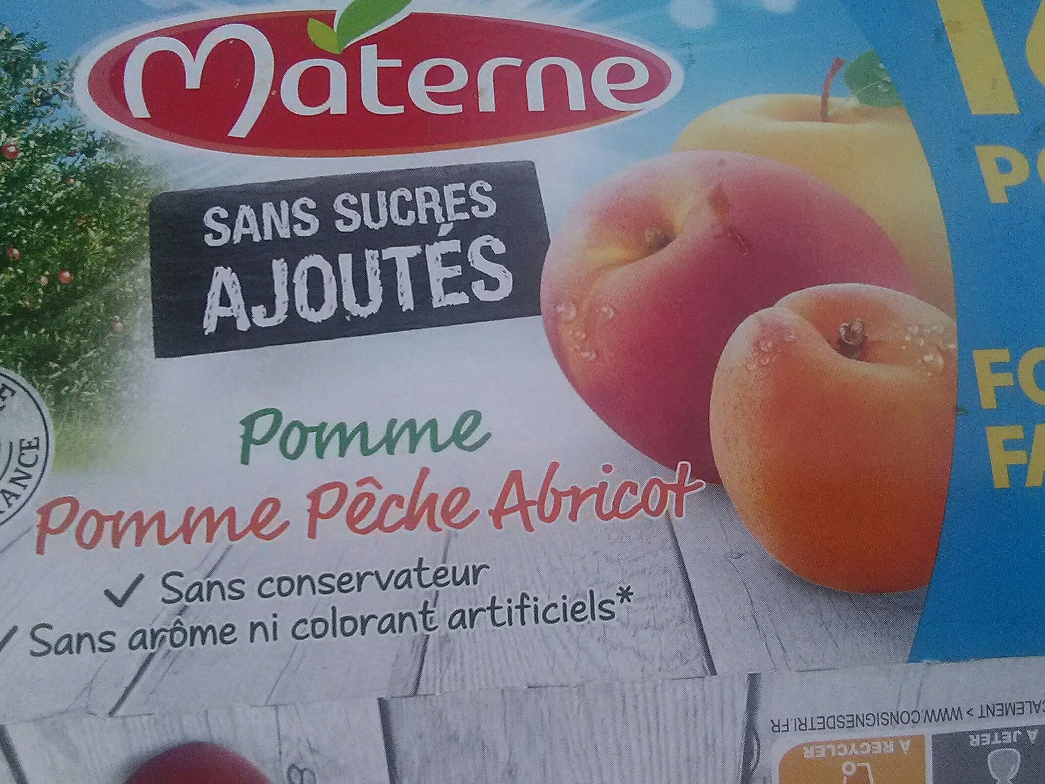 materne pomme peche abricot sabs sucres ajoutes - Prodotto - fr
