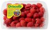Raspberries - Product