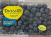 Blueberries - Produkt