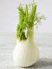 Whole Fennel - Product