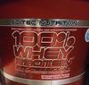 100% Whey Protein Professional - 5000 g - نتاج