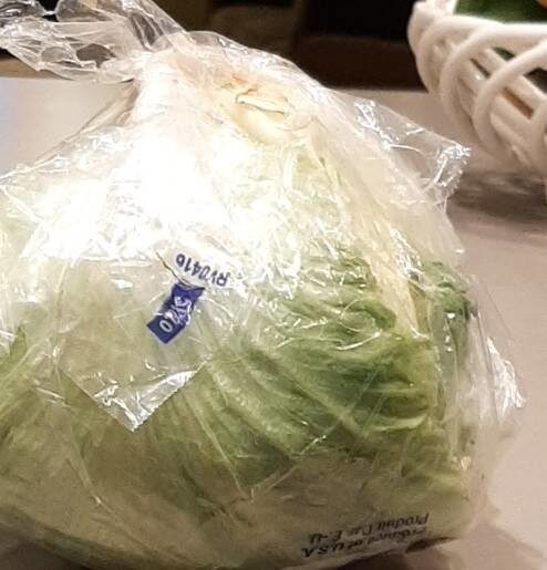 Lettuce - Product