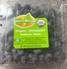 Blueberries - Produit