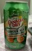 Canada dry ginger ale and orangeade - Product