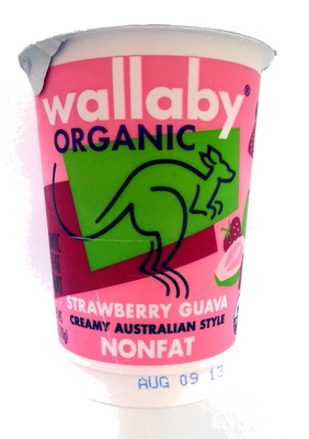 Organic nonfat yogurt - Producto - en