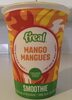 Mango Smoothie - Product