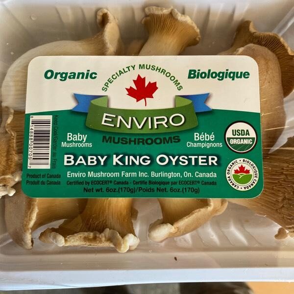 Baby King Oyster Mushrooms - Product