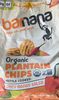 Organic Plantain Chips Spicy Mango Salsa - Product