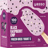 Black Raspberry Chip Forzen Greek Yogurt Bars - Product