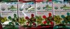 Organic seaweed snack variety - Product