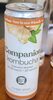 Snappy ginger companion kombucha - Product