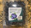 Organic Blueberries - نتاج