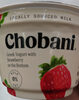 Strawberry on the Bottom Nonfat Greek Yogurt - Product