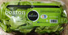 Hydroponic Boston Lettuce Duo - Produit