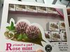 Sweet rose ball - Product