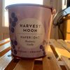 Avoine fermenté   Mûre /vanille - Product
